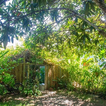 Petit Quadrado No Melhor Lugar De Trancoso Kültér fotó